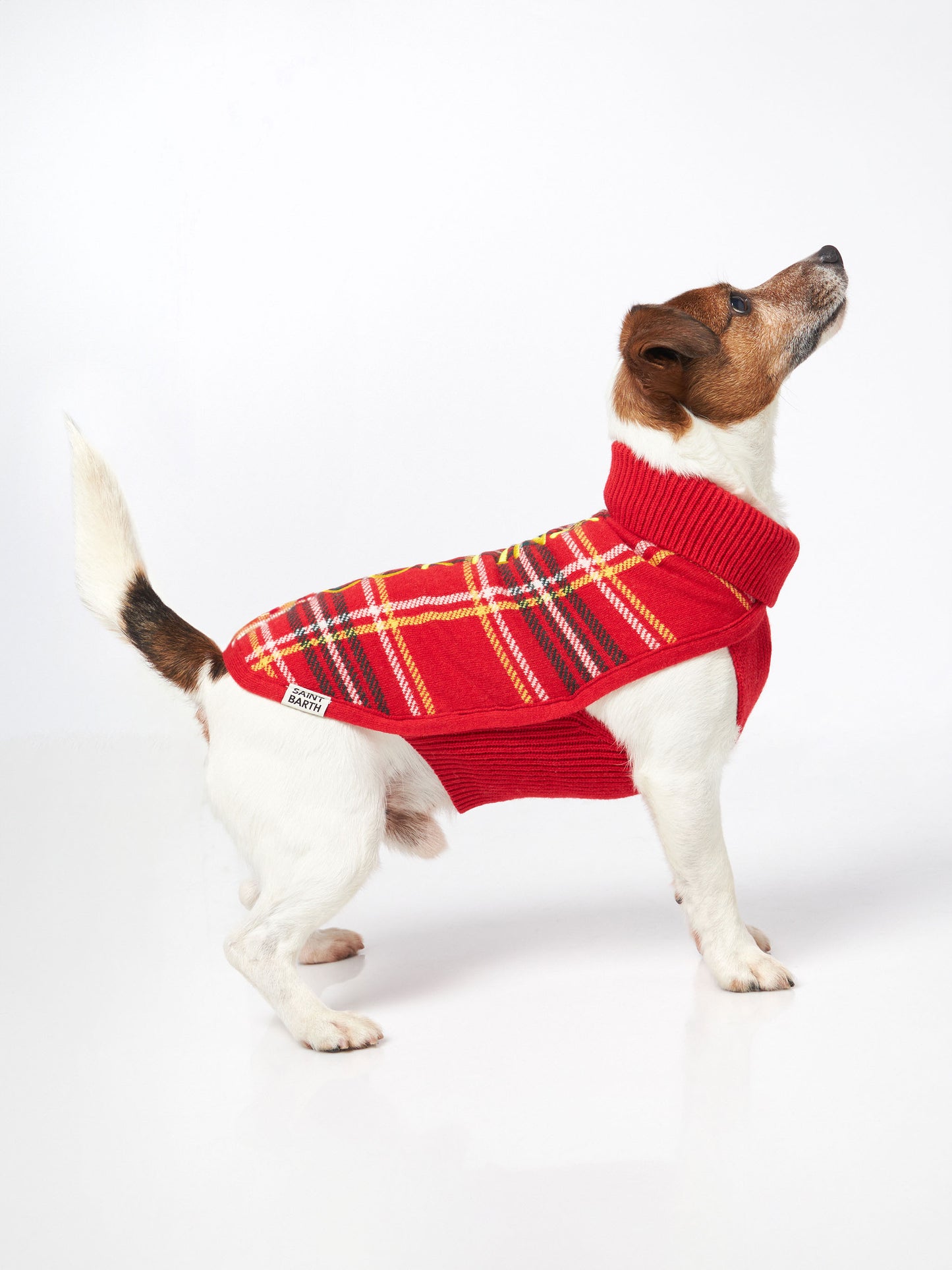 Hundepullover mit Schottenkaro-Print