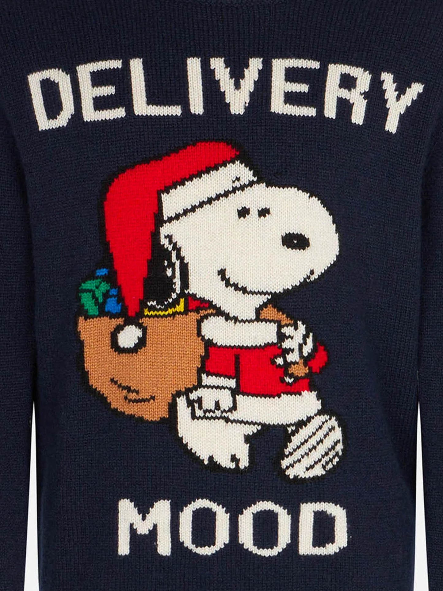 Rundhalspullover für Jungen mit weihnachtlichem Snoopy-Aufdruck | PEANUTS™ SONDEREDITION