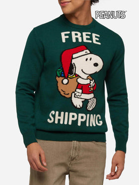 Grüner Pullover Heron mit Snoopy Jacquard | SNOOPY PEANUTS® SPECIAL EDITION