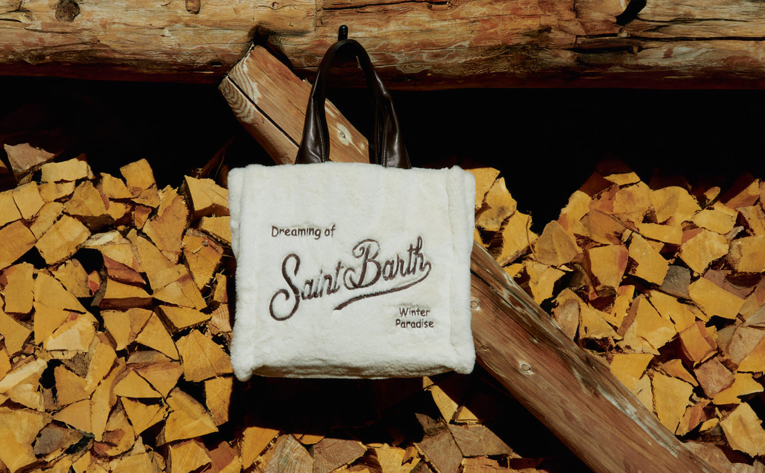 Handbags - Fall Winter