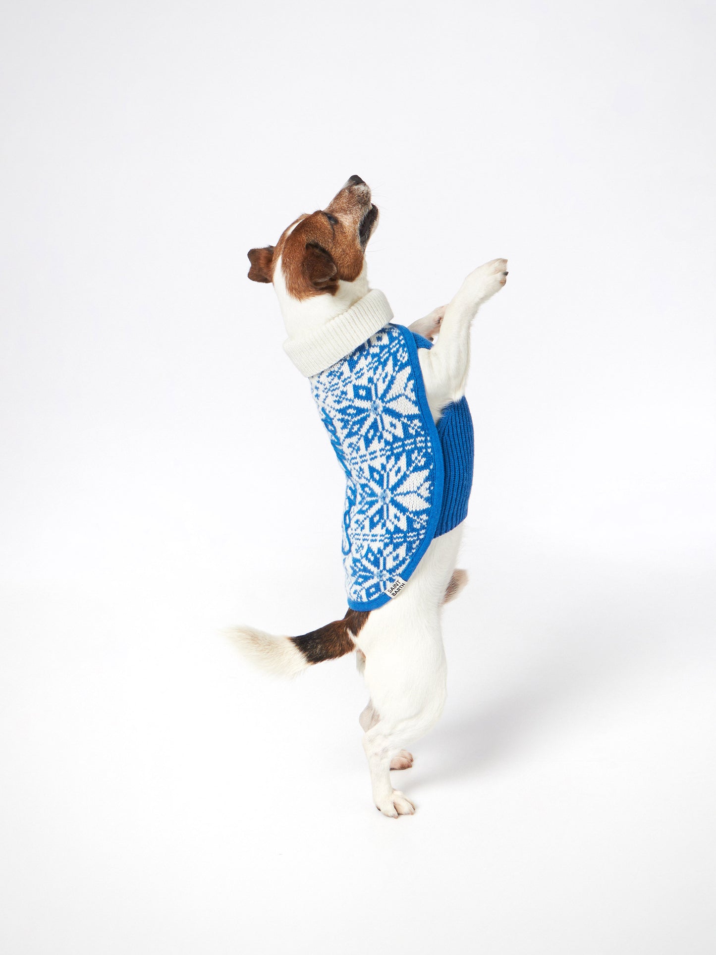 Dog sweater with nordic jacquard