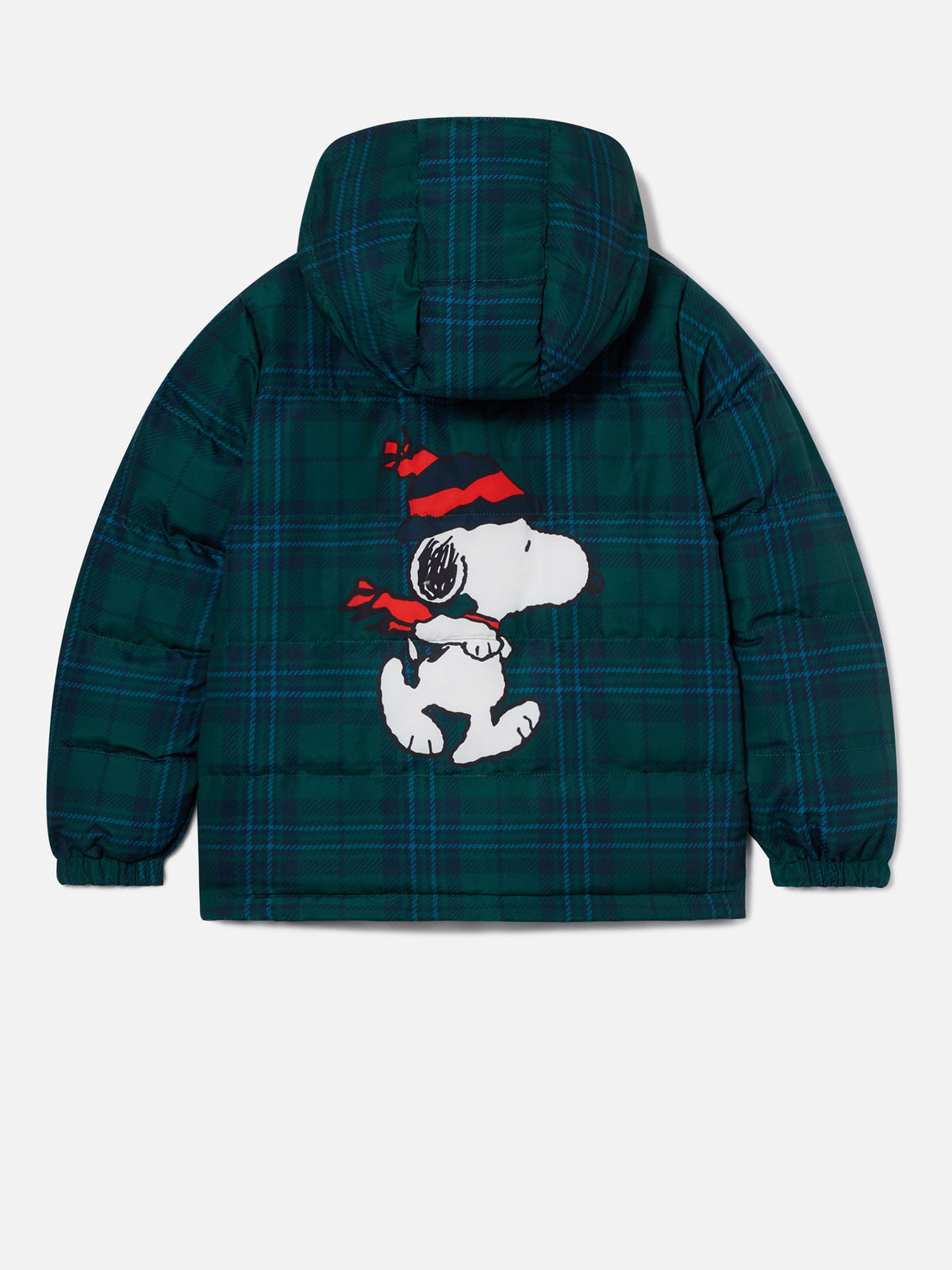 Chaqueta verde Baxter con estampado de Snoopy en la espalda | Special edition 