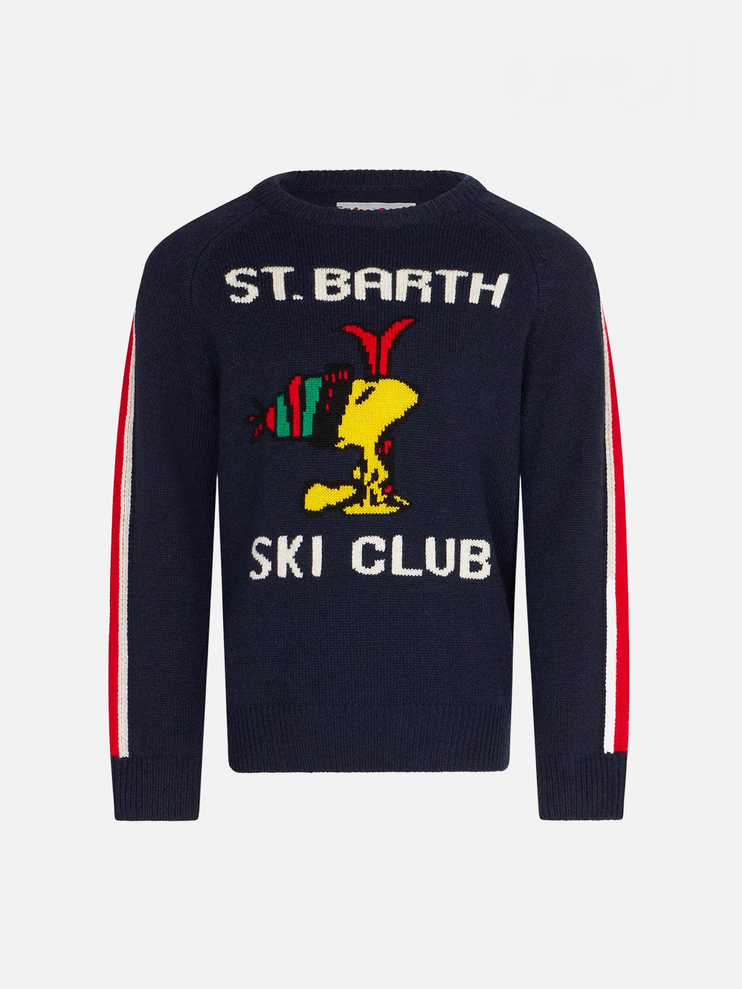 Boy crewneck sweater with Woodstock print | WOODSTOCK - PEANUTS™ SPECIAL EDITION