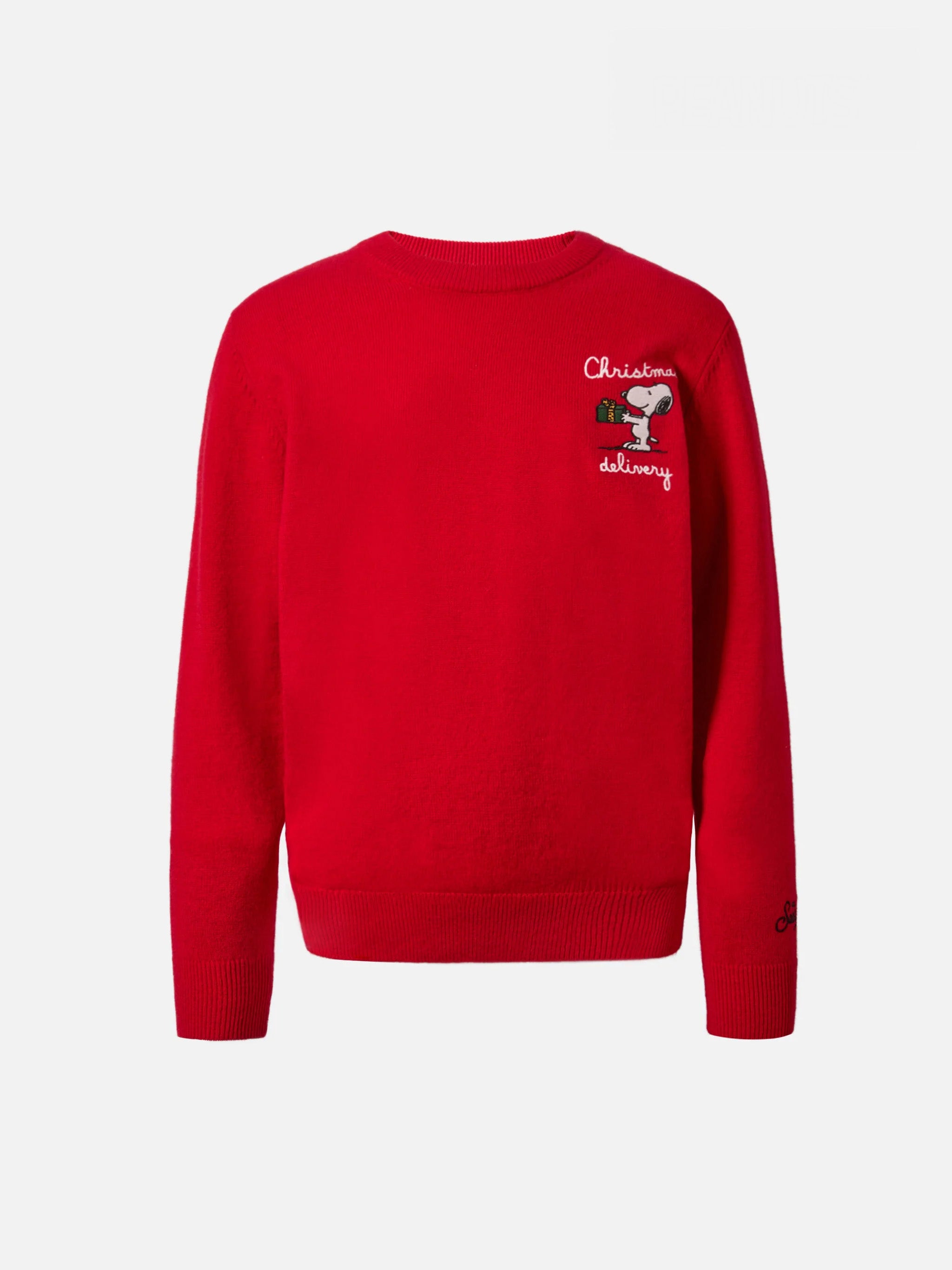 Sweater Douglas Light Embry in cashmere blend with Snoopy embroidery ...