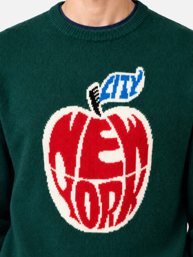 Rundhalspullover Heron mit New York Apple-Jacquard 
