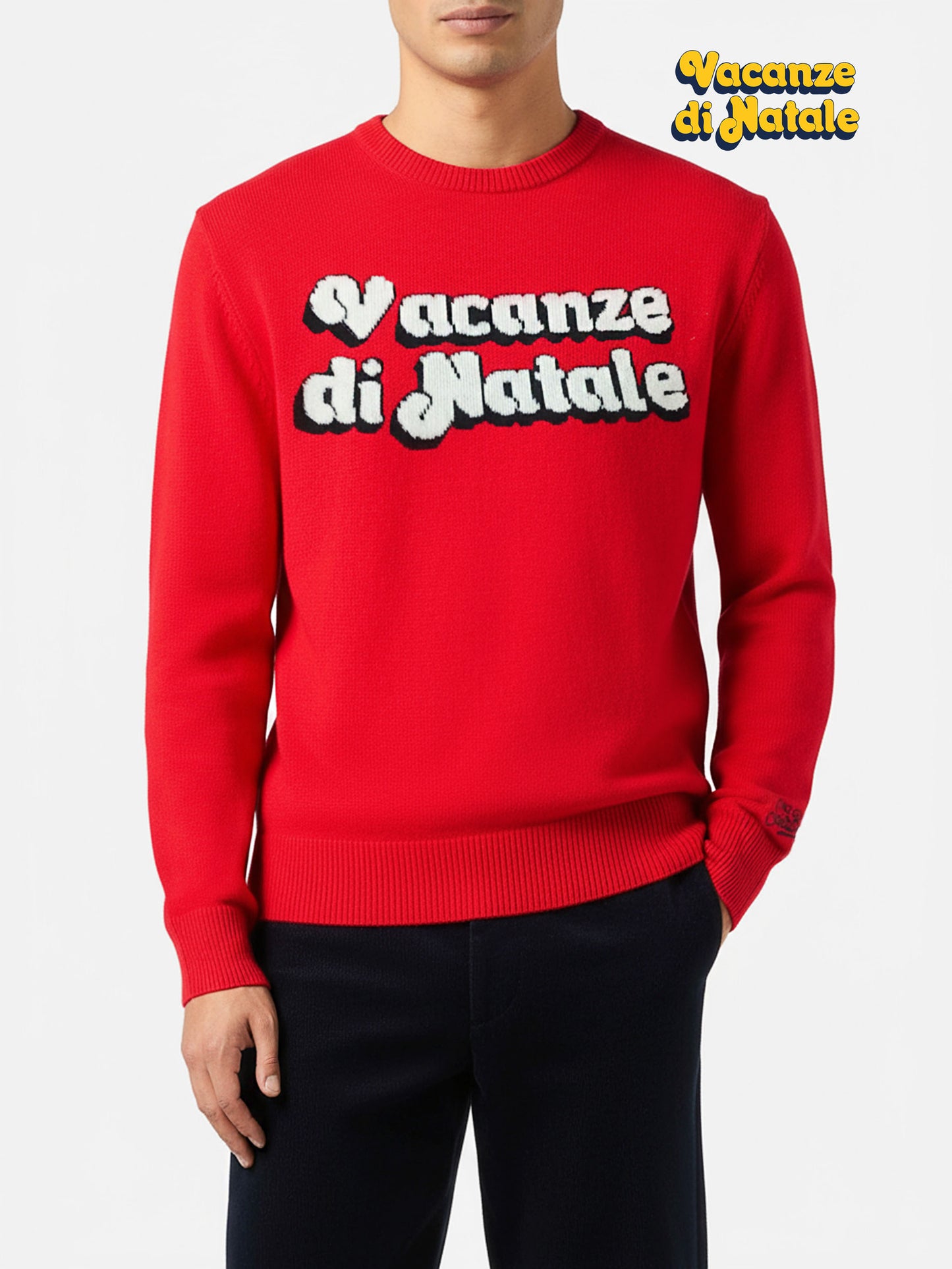 Crewneck sweater Heron with Vacanze di Natale jacquard | VACANZE DI NATALE SPECIAL EDITION