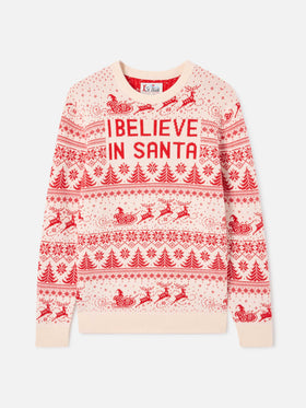 Heron I believe in Santa sweater