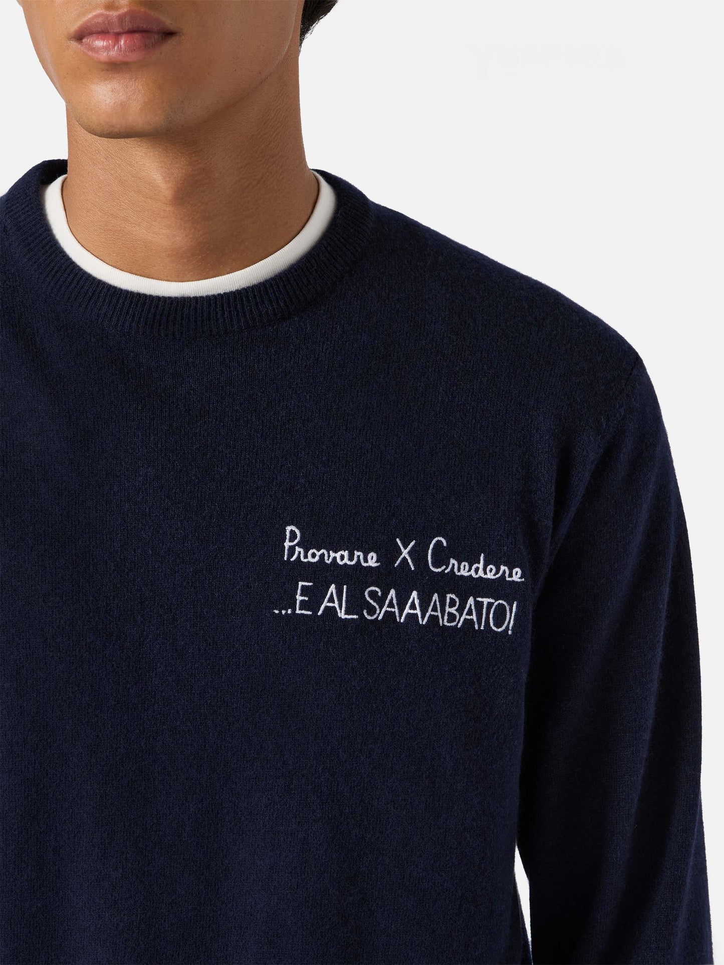 Crewneck sweater Heron Light with Provare per credere! embroidery | YUPPIES SPECIAL EDITION