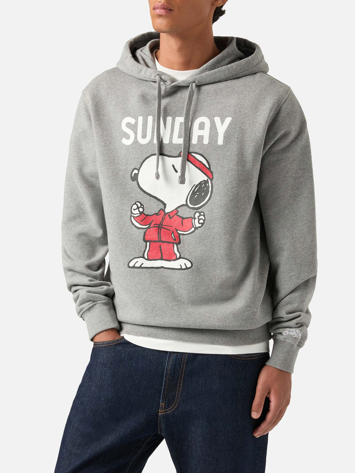 Grauer Tribeca Hoodie aus Baumwolle mit Snoopy-Print | Special edition 