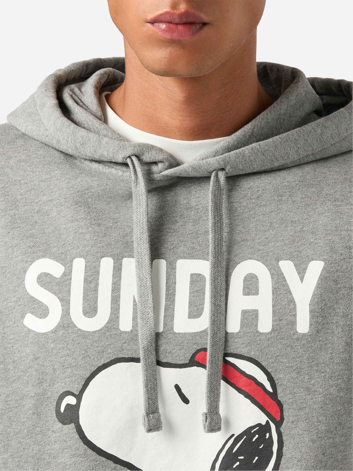 Grauer Tribeca Hoodie aus Baumwolle mit Snoopy-Print | Special edition 