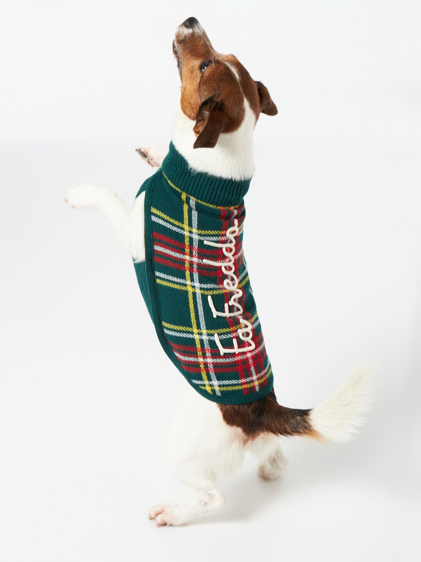 Hundepullover mit Schottenkaro-Jacquard