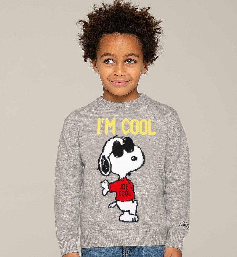 Snoopy Cool Boy grauer Pullover – Sonderausgabe