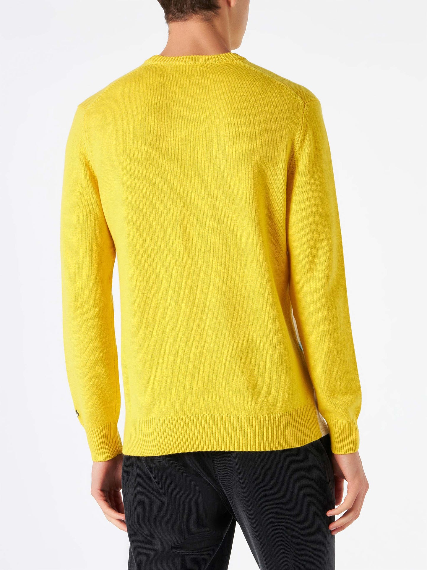 Maglione da uomo con cartolina Les Alpes
